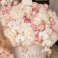 Blush roses, hydrangea and white orchids in a white CARAT box